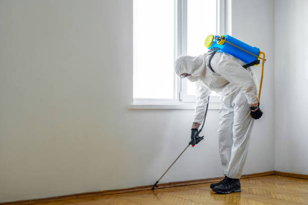 Best Residential Pest Control  in Comstock Northwest, MI